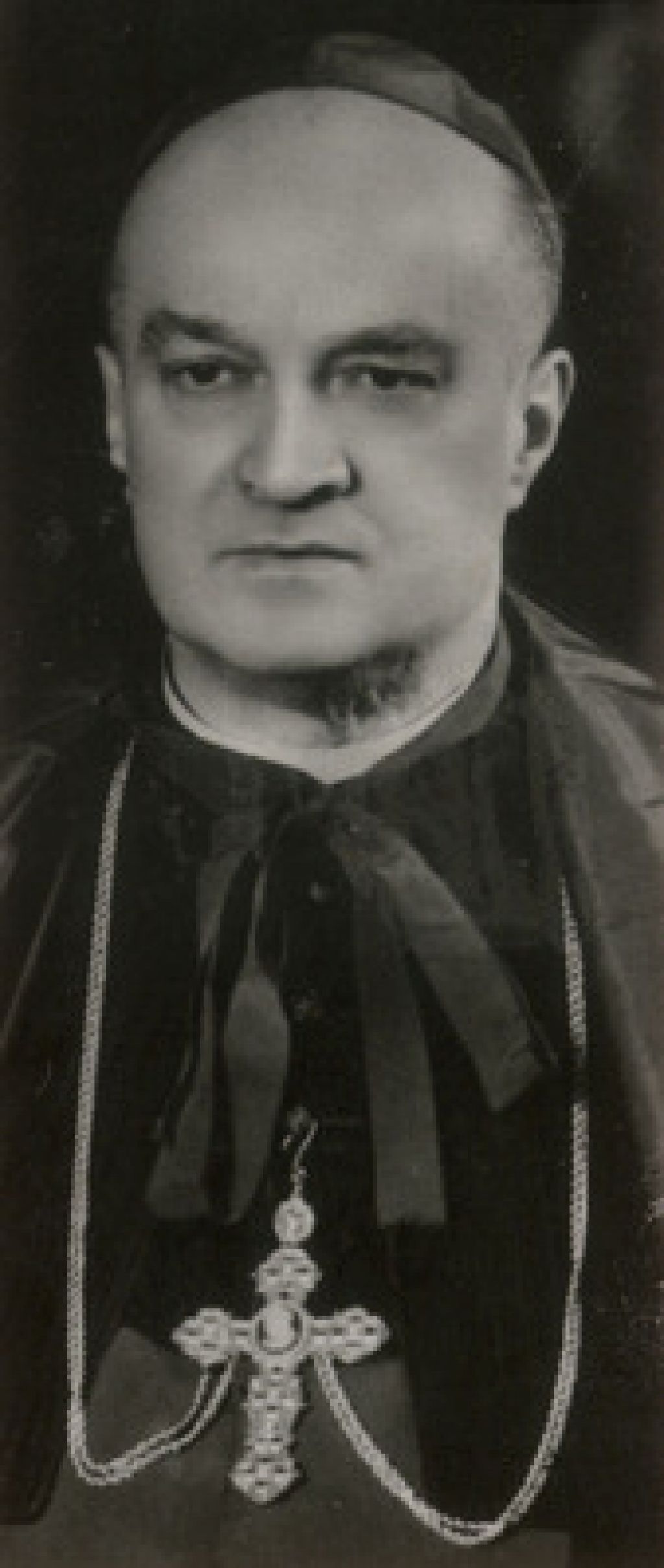 O beatifikaciji nadškofa Vovka sedaj še papež