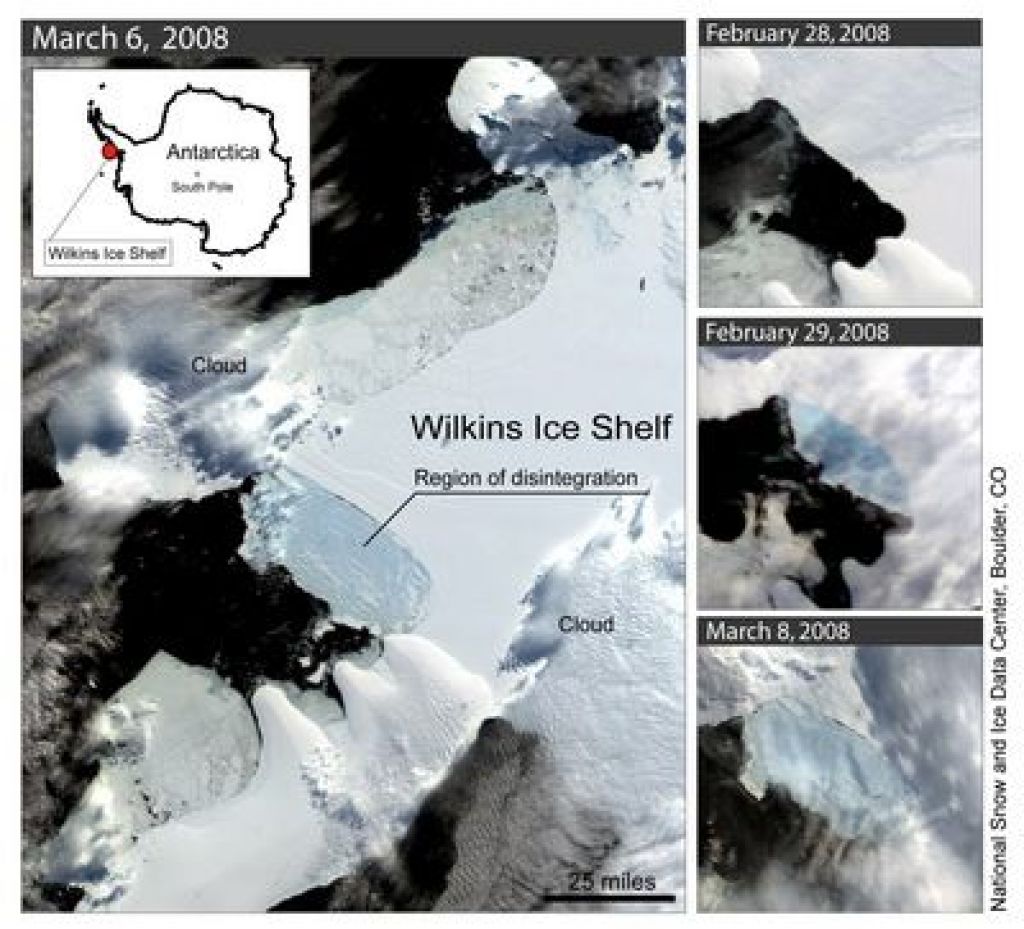 Antarktika kmalu brez ledu